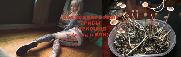 дживик Алзамай