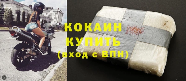 дживик Алзамай