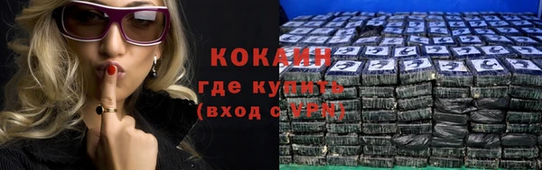 дживик Алзамай